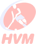 hvm (Custom)
